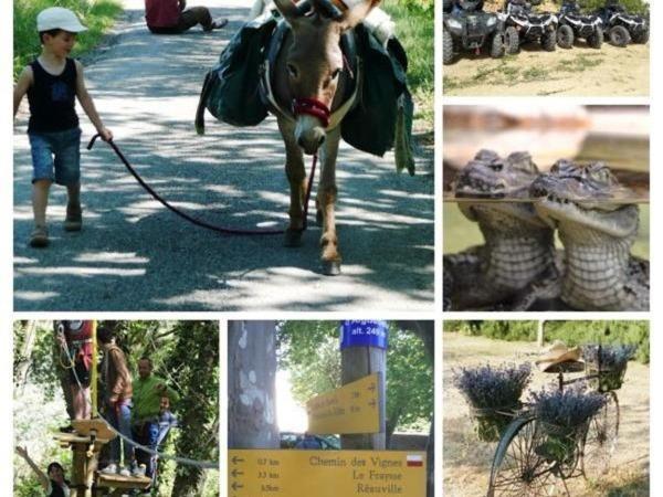 La Ferme Les Eybrachas Ξενοδοχείο Réauville Εξωτερικό φωτογραφία