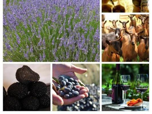 La Ferme Les Eybrachas Ξενοδοχείο Réauville Εξωτερικό φωτογραφία
